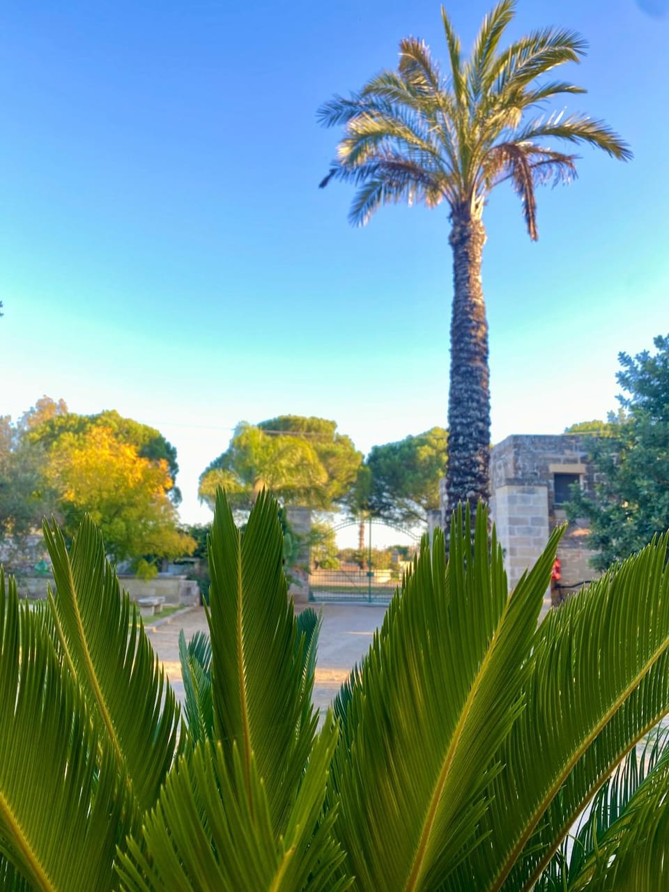 Garden view