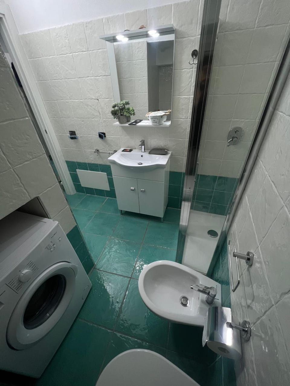 Shower, Bathroom, bidet, washing machine