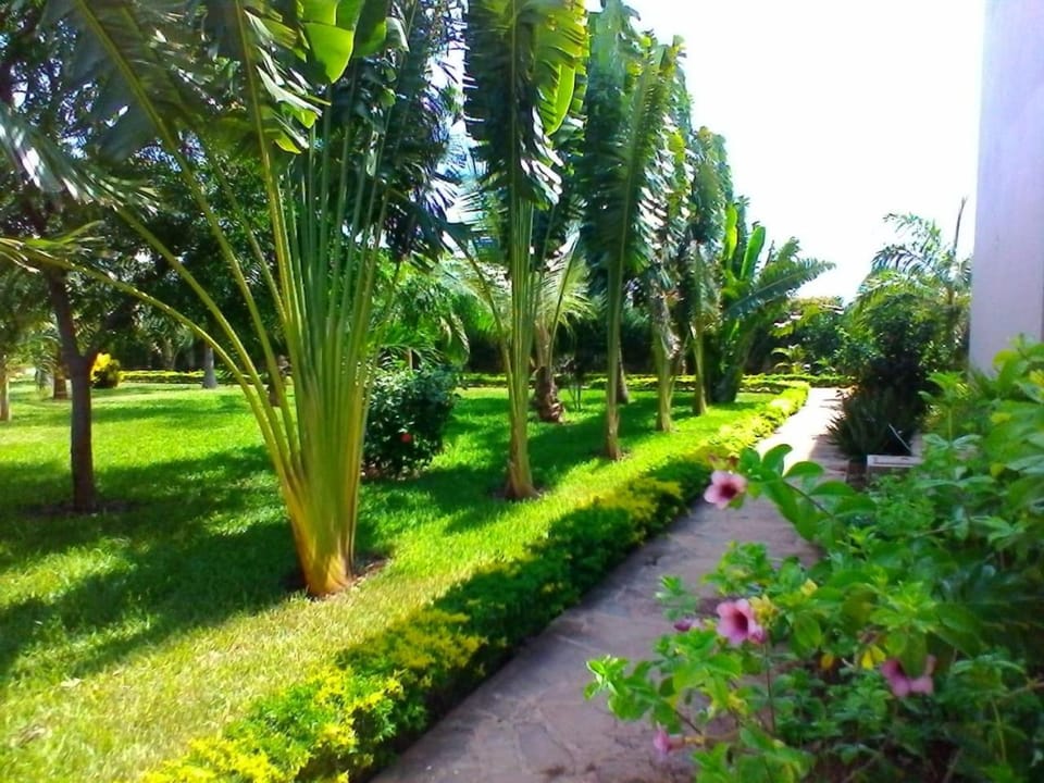 Garden view, Inner courtyard view