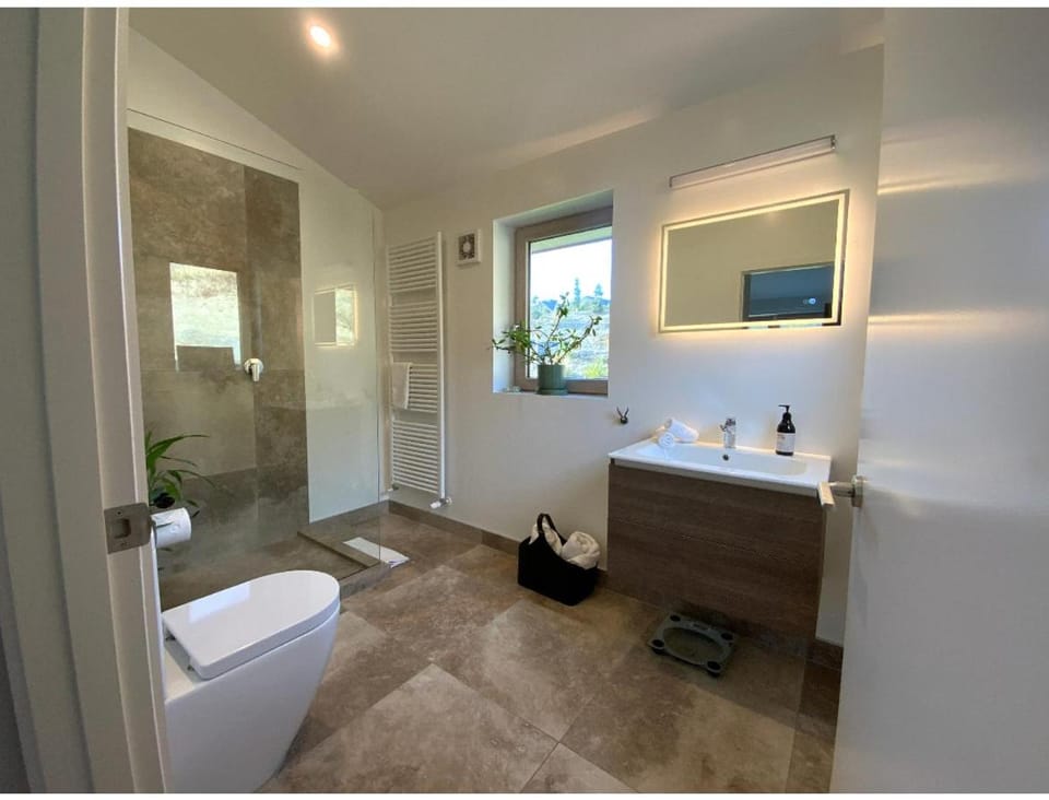 Toilet, Bathroom, towels
