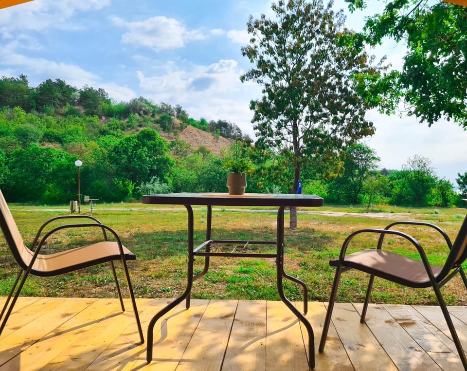 Day, Natural landscape, Garden, Garden view
