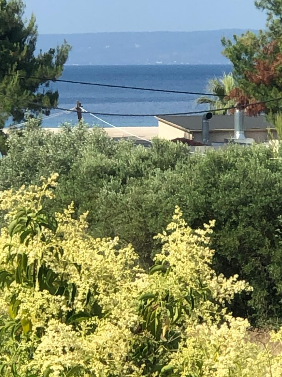 Sea view