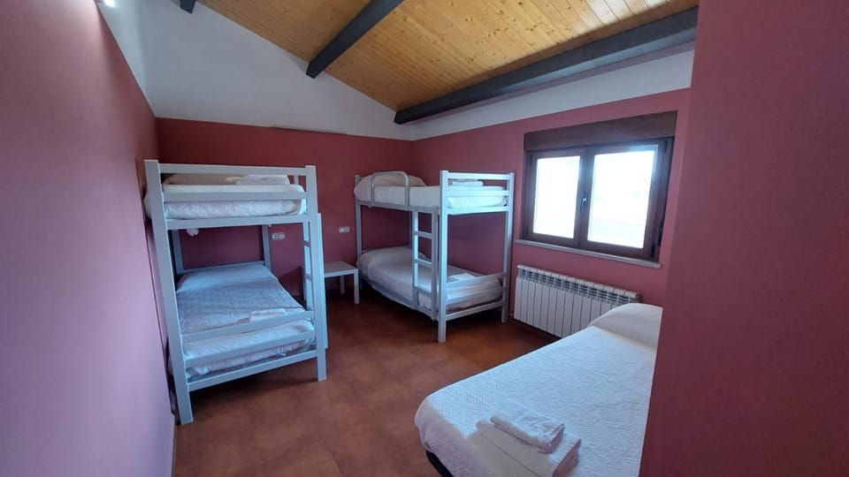 Bed, Photo of the whole room, Bedroom, bunk bed