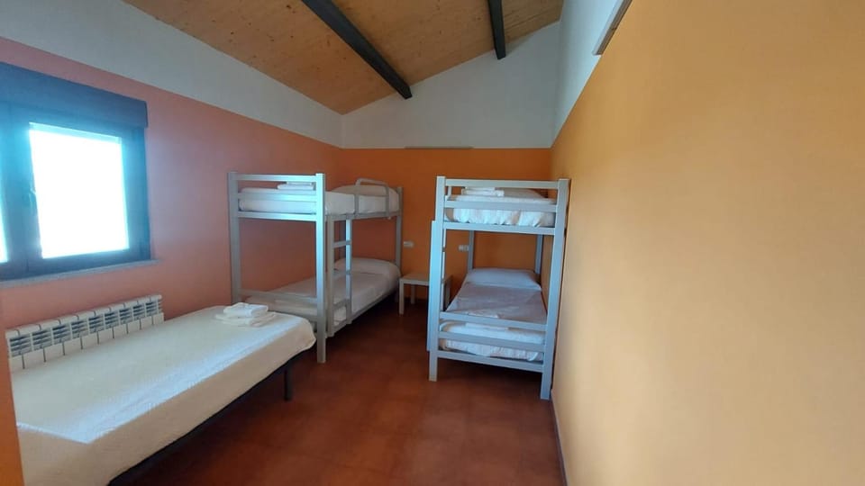 Photo of the whole room, Bedroom, bunk bed