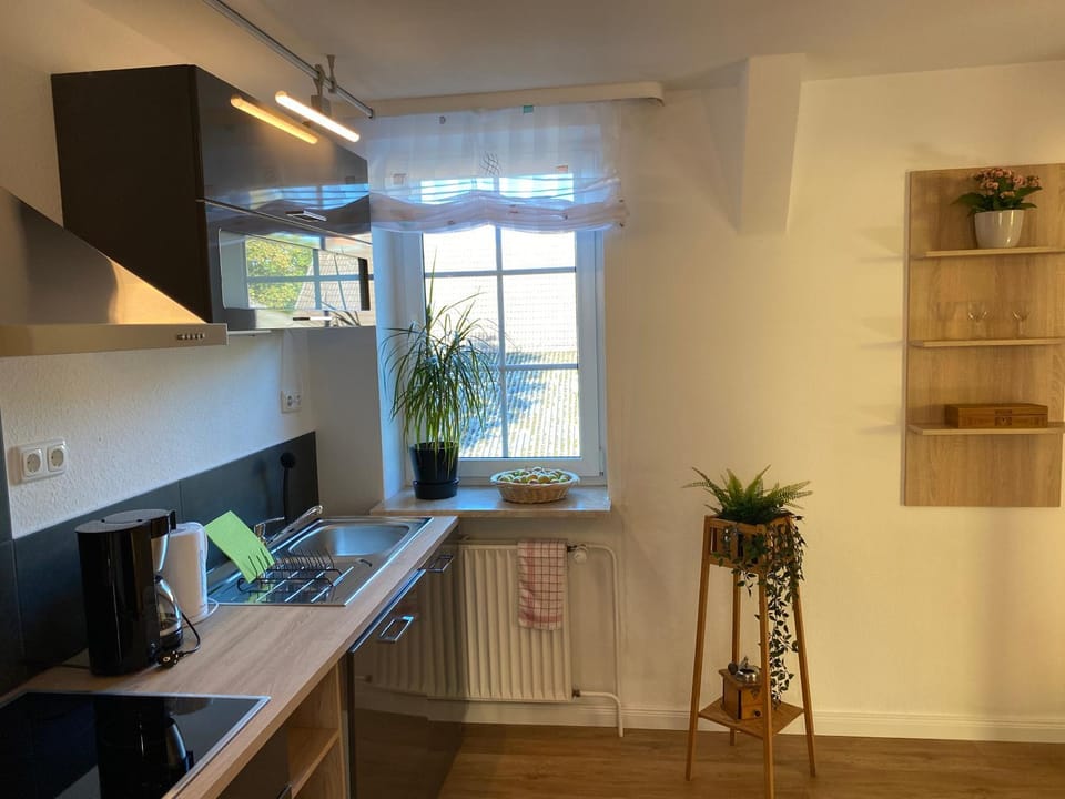 Kitchen or kitchenette, pet friendly, stove
