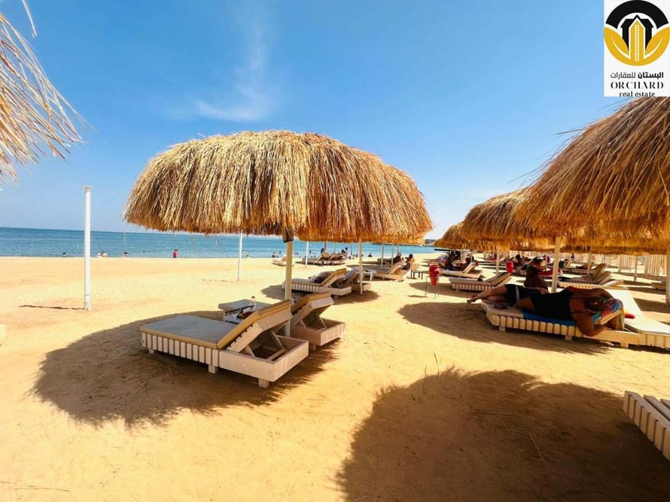 Off site, Day, Beach, Beach, Seasons