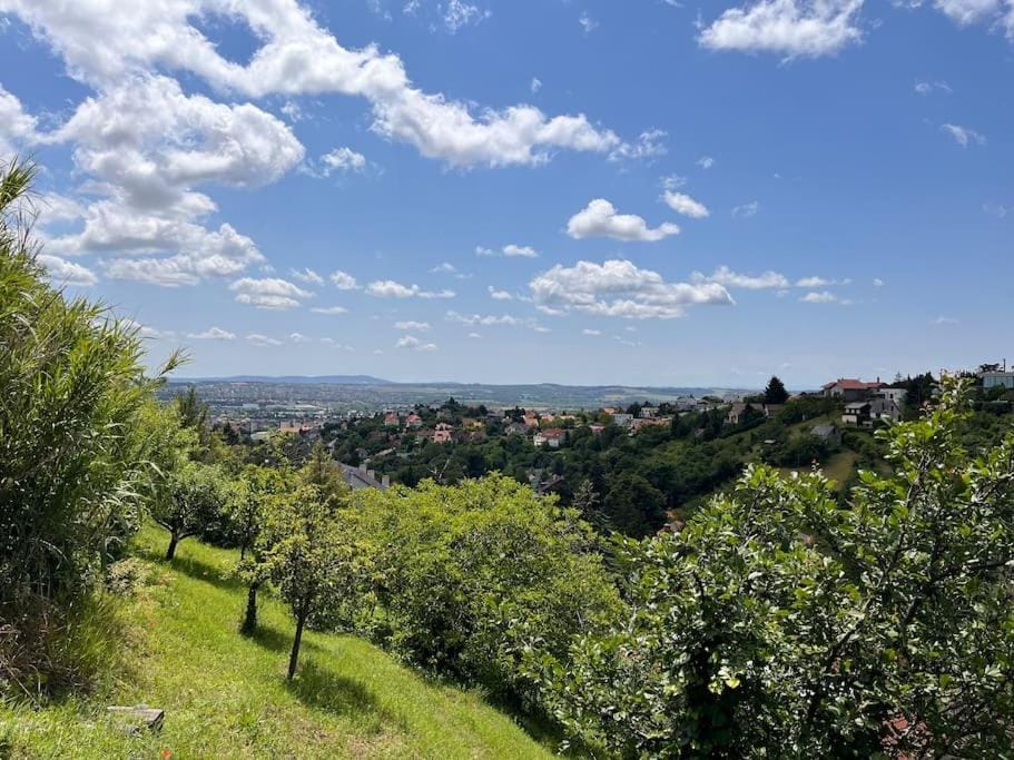 Natural landscape, Garden