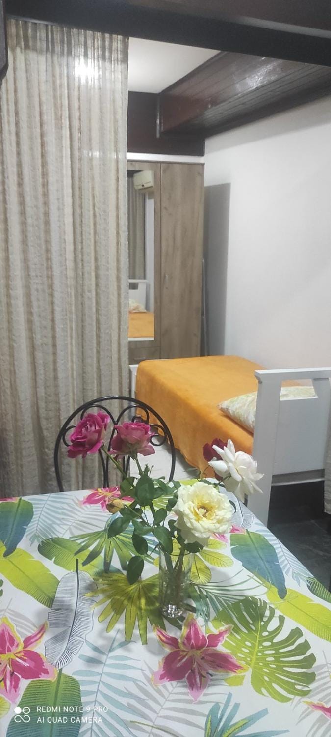 LENA Apartman 45m2 Sokobanja-CENTAR Apartment in Serbia