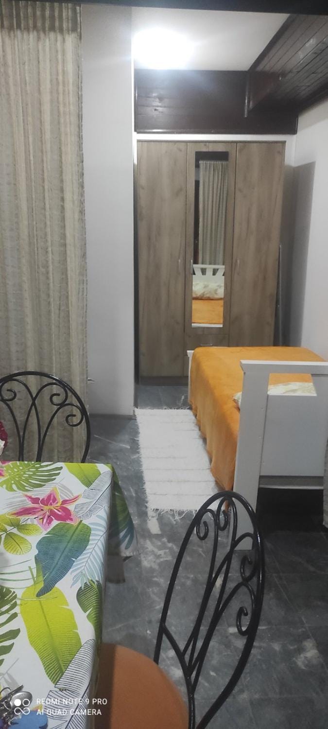 LENA Apartman 45m2 Sokobanja-CENTAR Apartment in Serbia