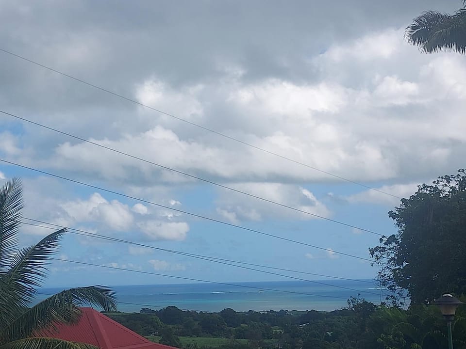Natural landscape