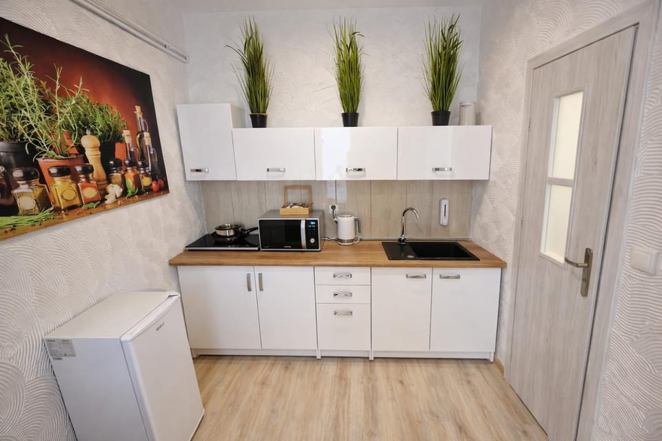 Coffee/tea facilities, Kitchen or kitchenette, oven, stove