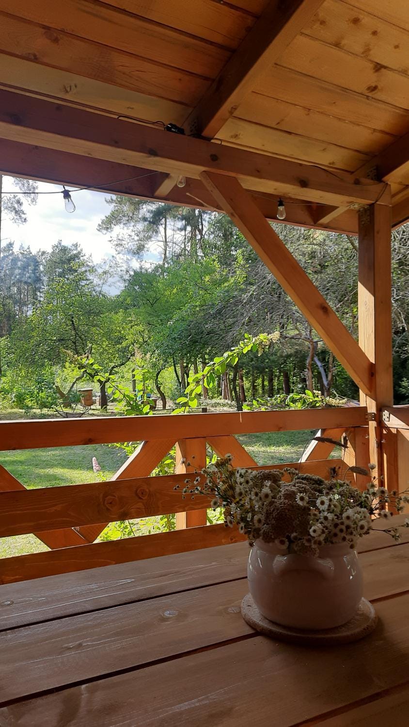 Garden, Balcony/Terrace