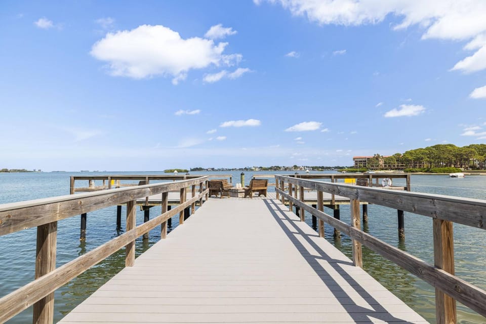 Dolphins Playground, Ground level viewing and walking to the water’s edge House in Palm Harbor