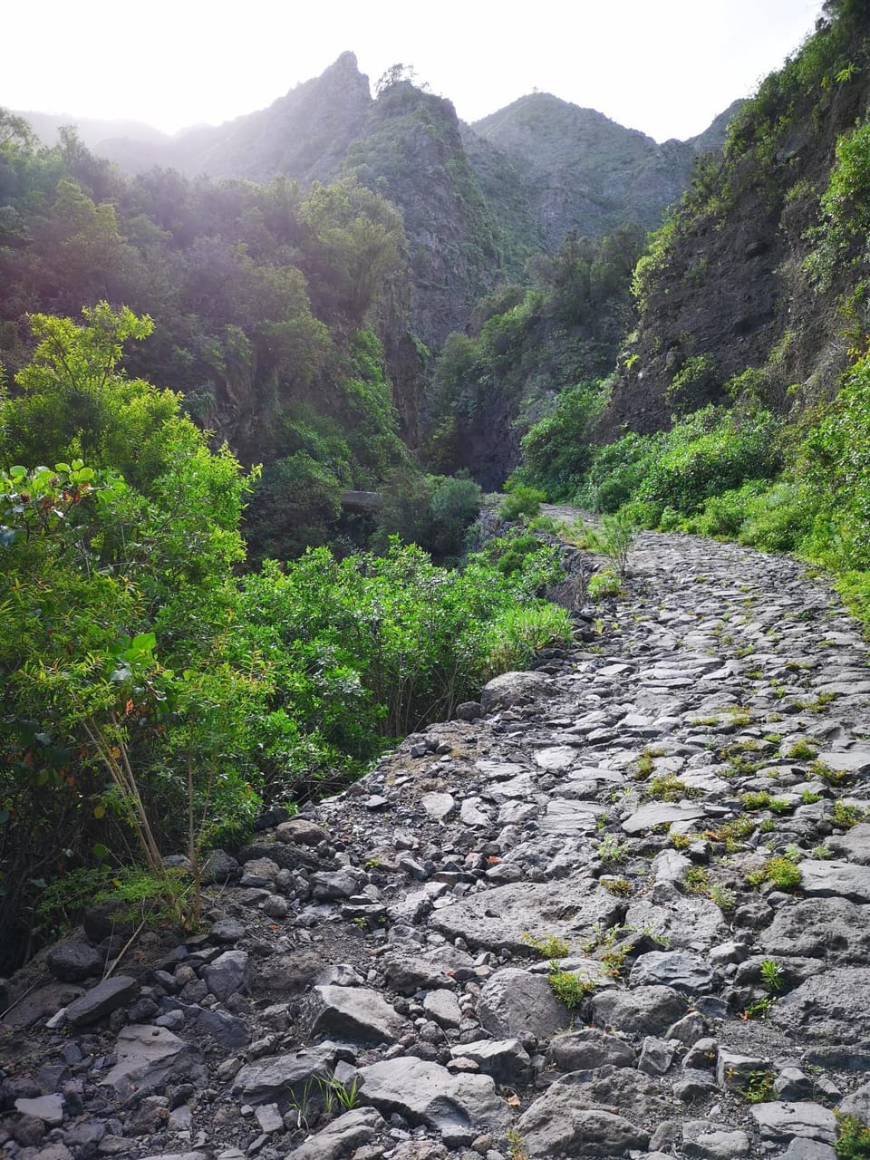 Natural landscape