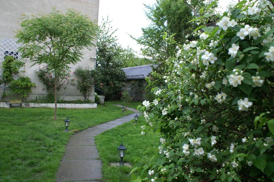 Facade/entrance, Garden