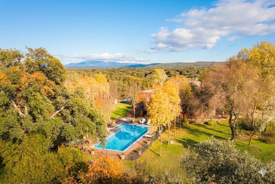 Day, Natural landscape, Bird's eye view, Garden, Garden view, Mountain view, Pool view, Swimming pool