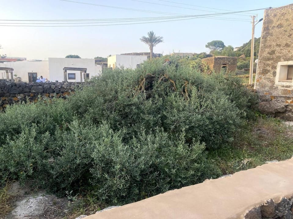Dammuso da Francesca House in Sicily