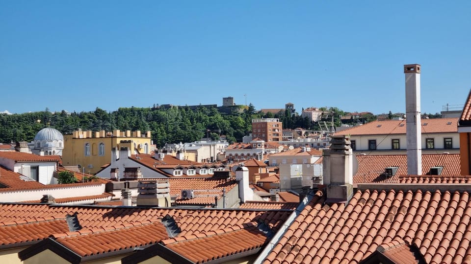 View (from property/room)