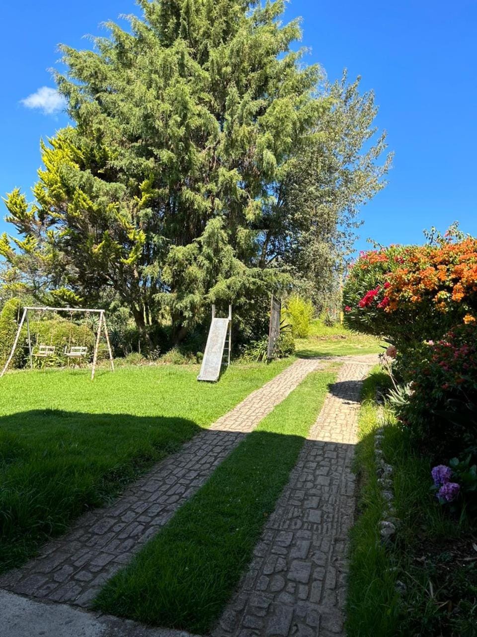 Carpe Diem Bed and Breakfast in State of Puebla