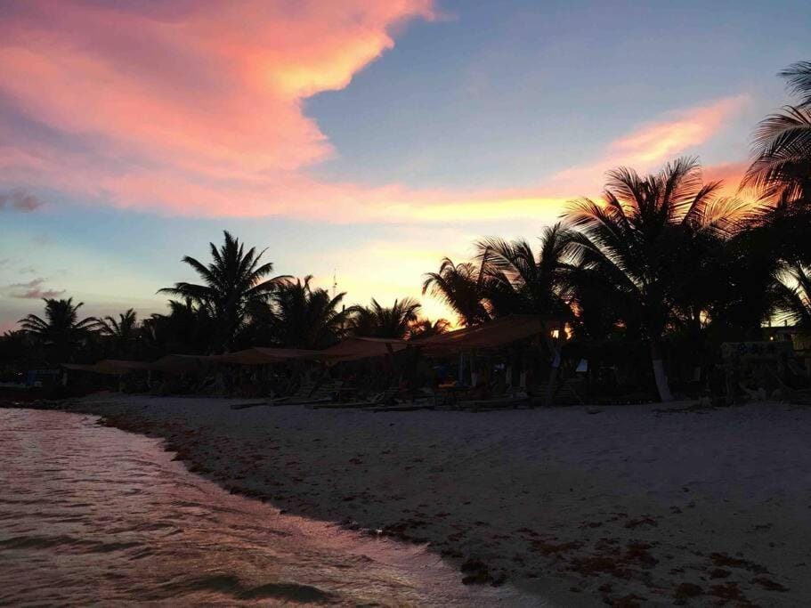 Casita Colibrí - An eco chic house House in State of Quintana Roo