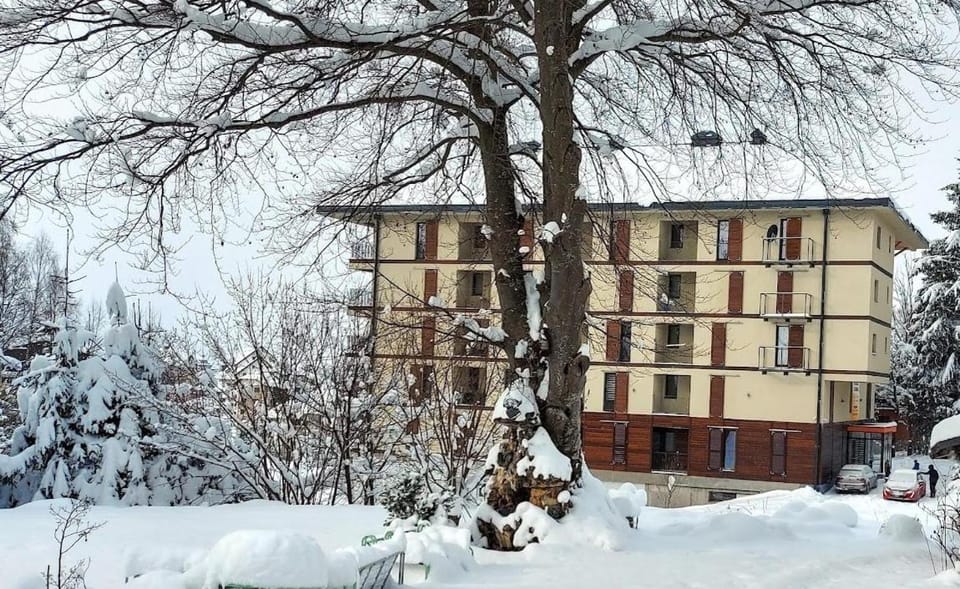 Apartman Obradović-Zlatibor Apartment in Zlatibor