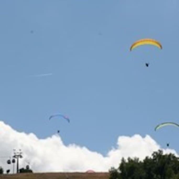 ERDGESCHOSS WOHNUNG BIS 10 PERSONEN ZENTRUM WINTERBERG Apartment in Winterberg