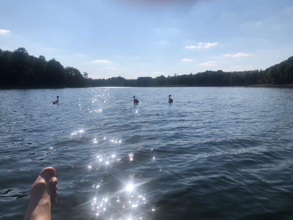 Gospodarstwo Agroturystyczne w Maradkach u Justyny Apartment in Poland