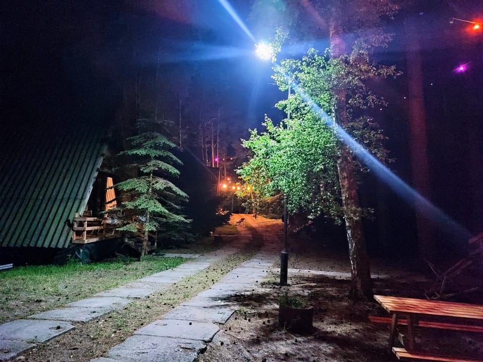 Ośrodek Wypoczynkowy Zakątek, Domki i pokoje w sosnowym lesie Nature lodge in Pomeranian Voivodeship