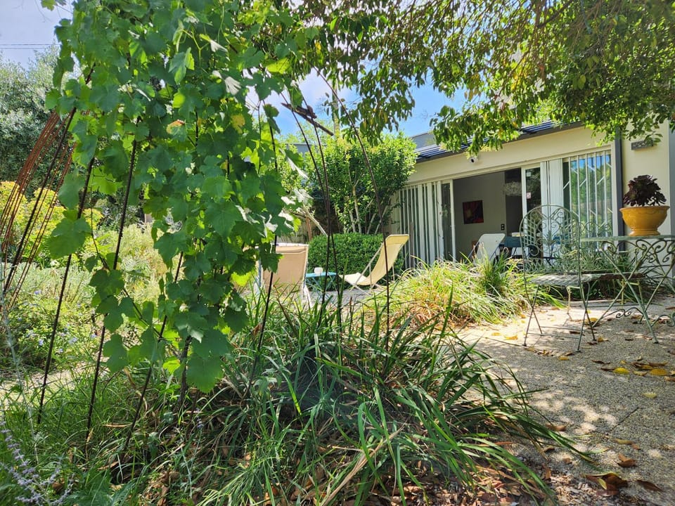 Chez Nous dans notre petit jardin Vacation rental in Montpellier