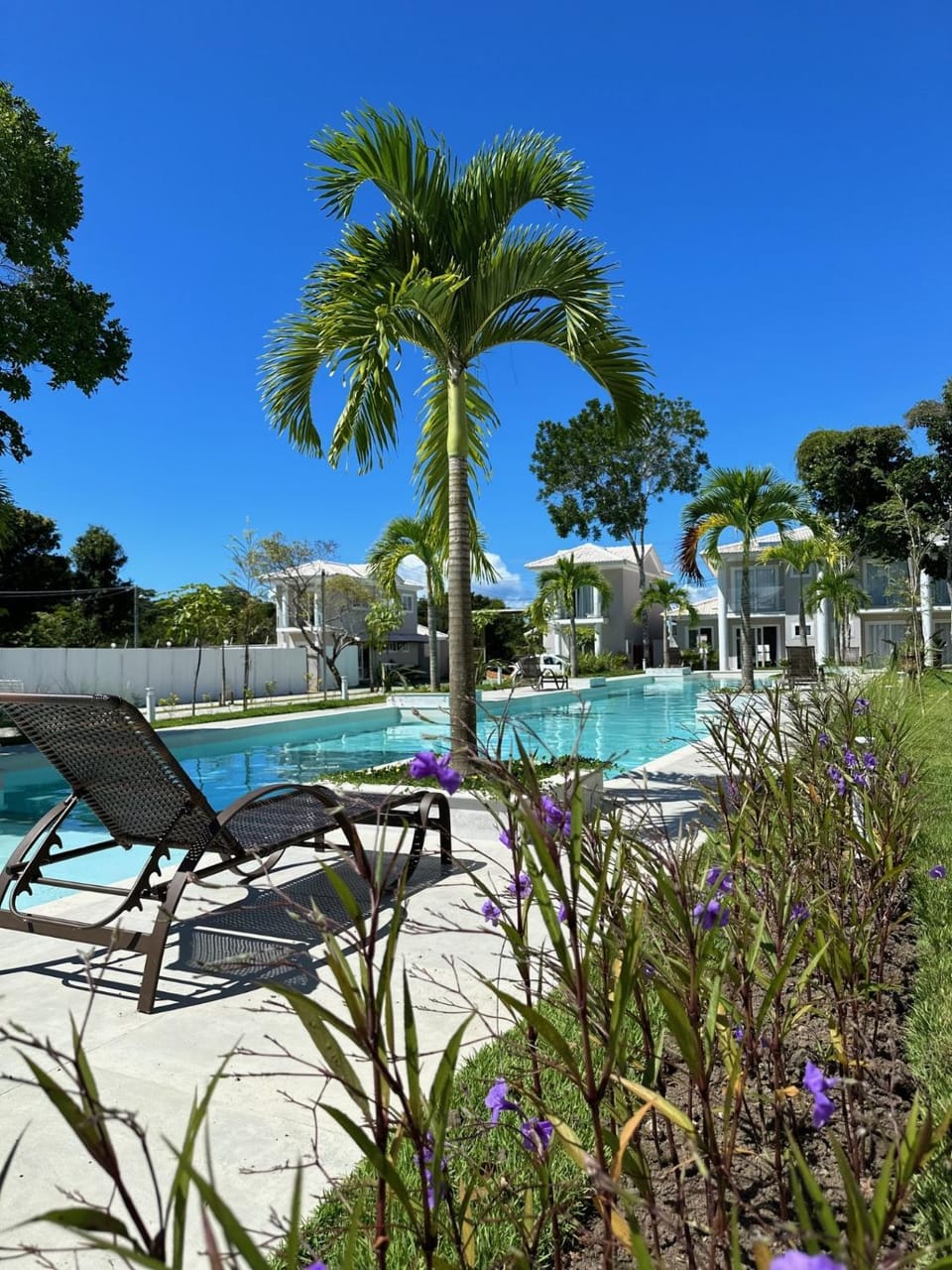 Swimming pool, sunbed, sunbed