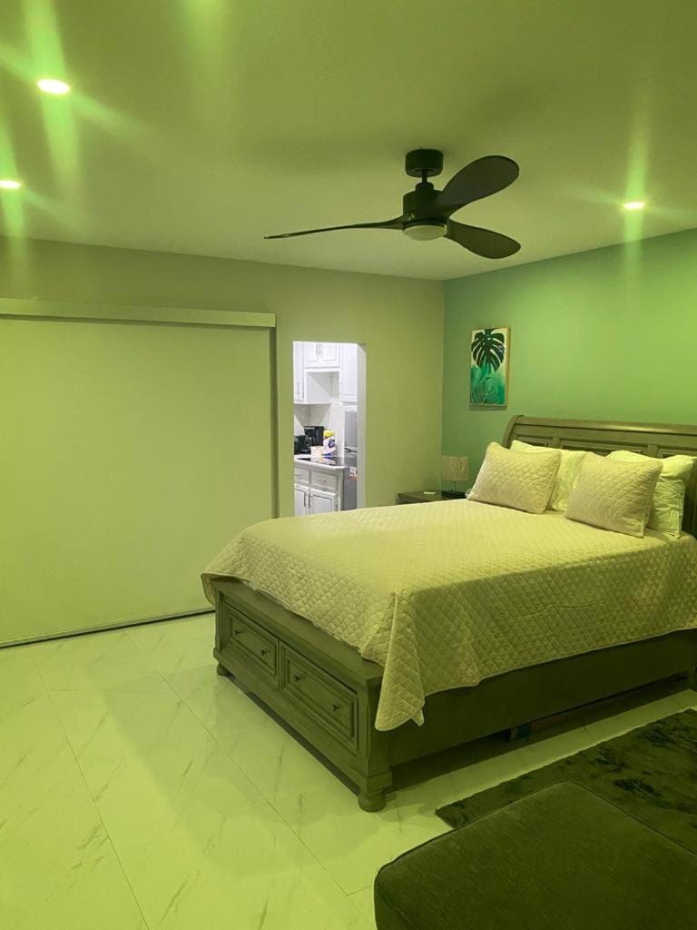 City View Luxury Home Apartment in Montego Bay