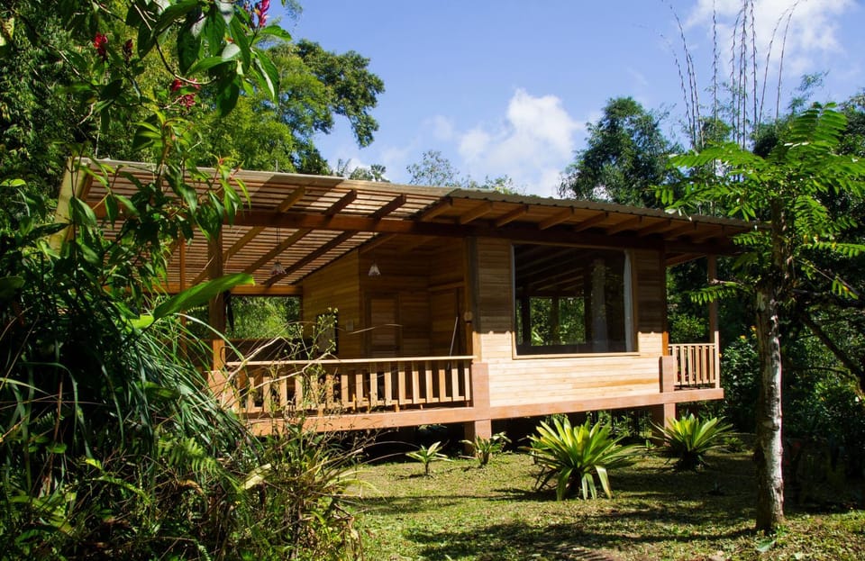 Property building, Natural landscape, Garden, Garden view