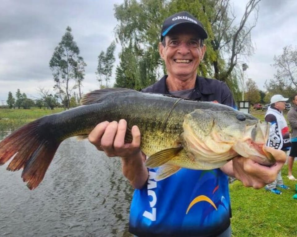 Natural landscape, Fishing, Lake view, River view