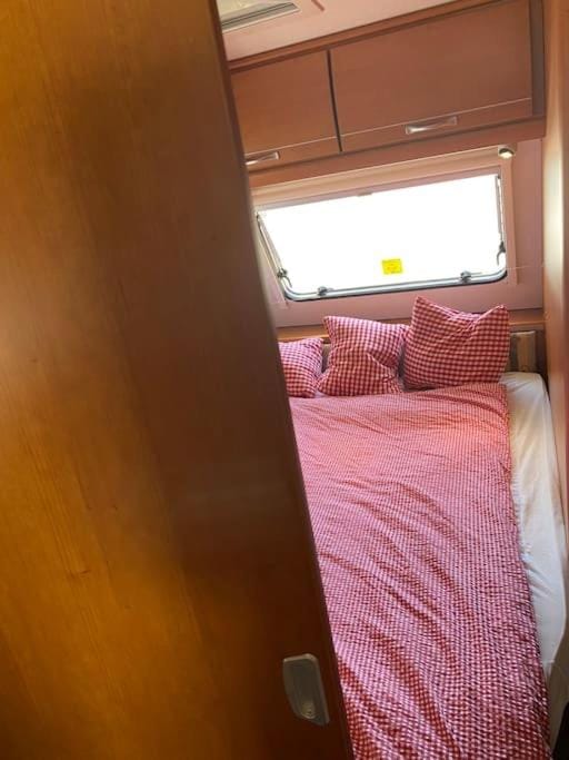 ***** Camping Aufenfeld - Sonnenglückhütte Apartment in Tyrol