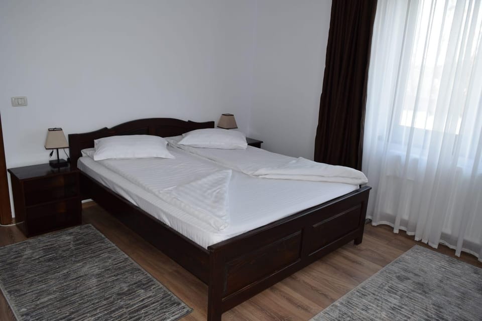 Pensiunea Daiana Bed and Breakfast in Romania