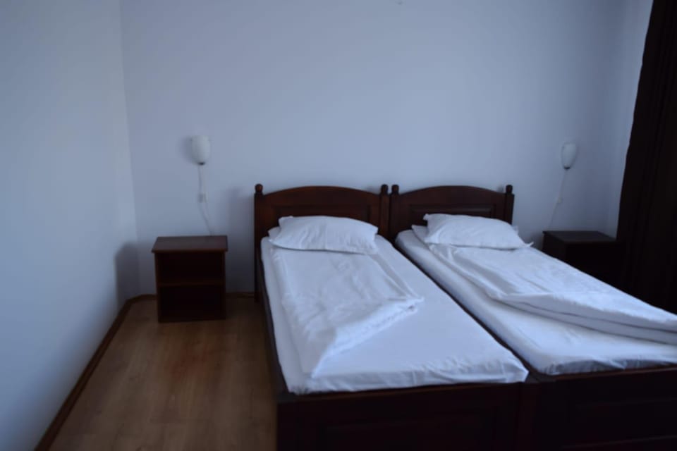Pensiunea Daiana Bed and Breakfast in Romania
