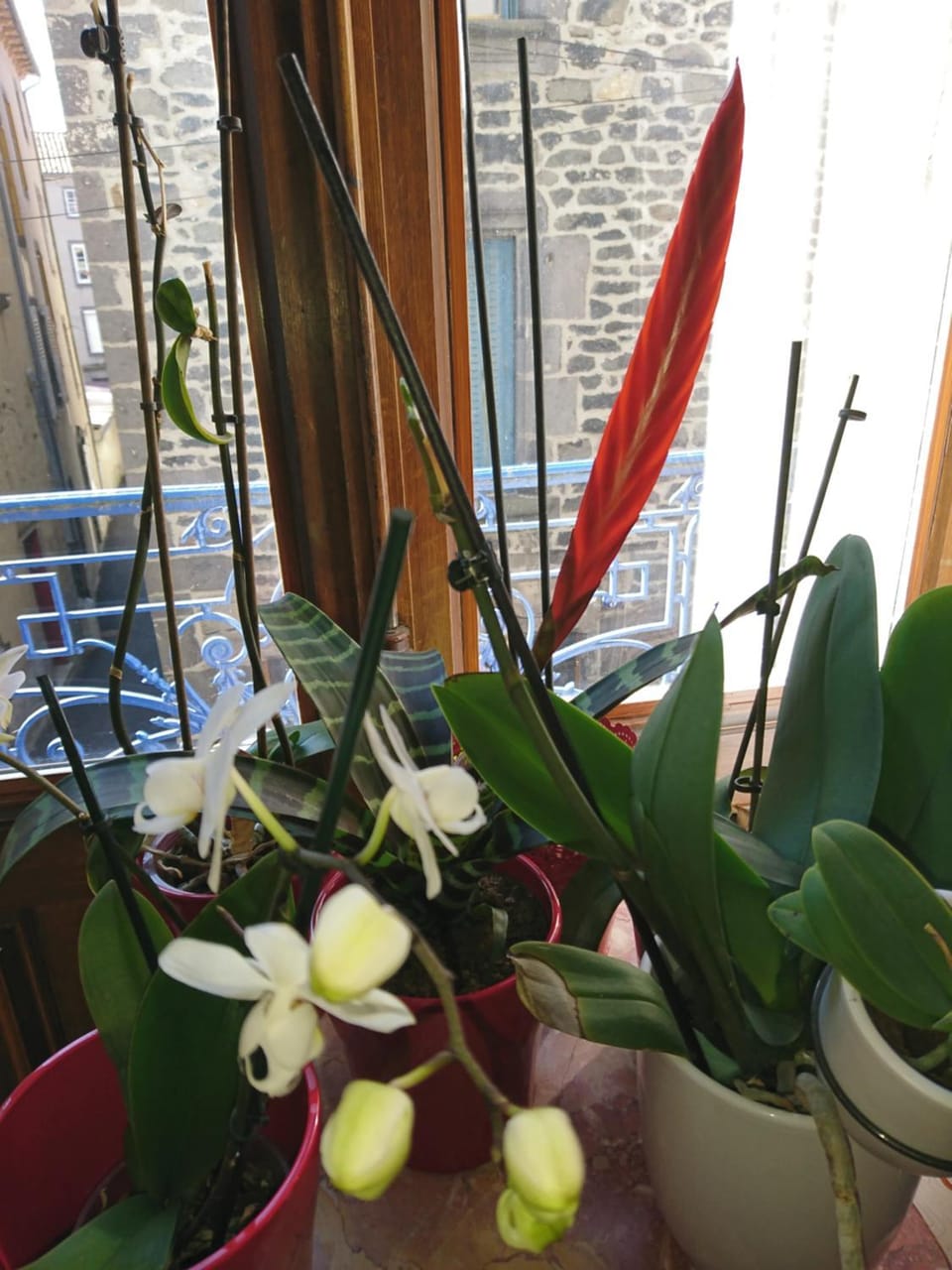 La Maison d'Adelaïde Chambres d'hôtes Bed and Breakfast in Saint-Flour