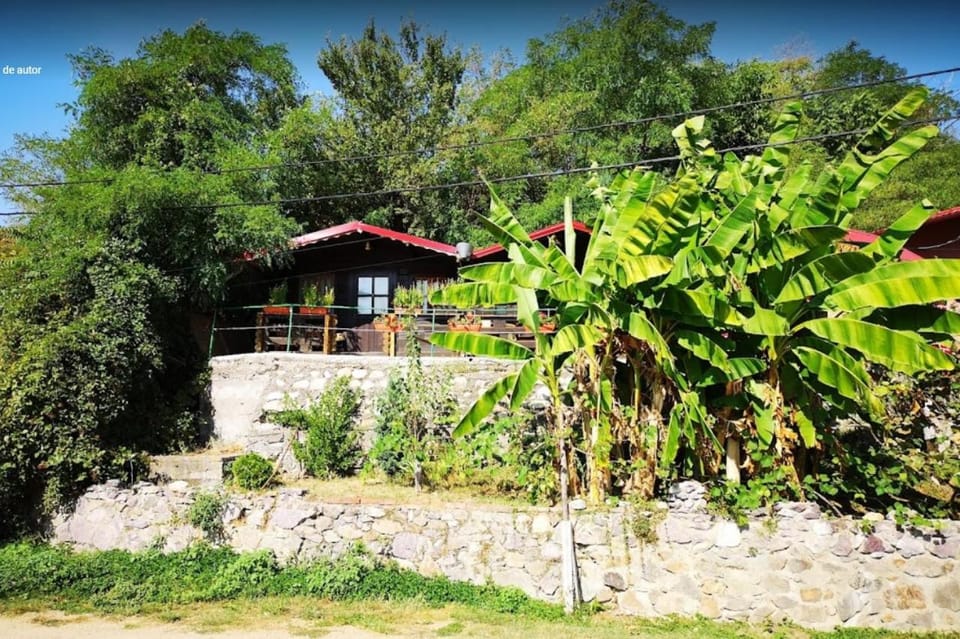 Property building, Spring, Natural landscape, Garden