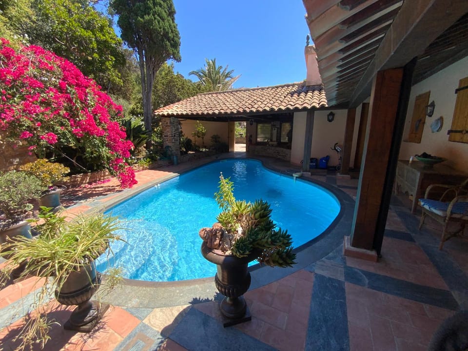 Swimming pool, Swimming pool