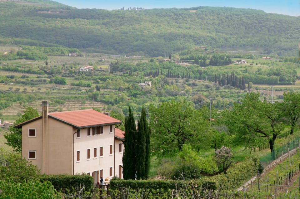 Natural landscape, Bird's eye view