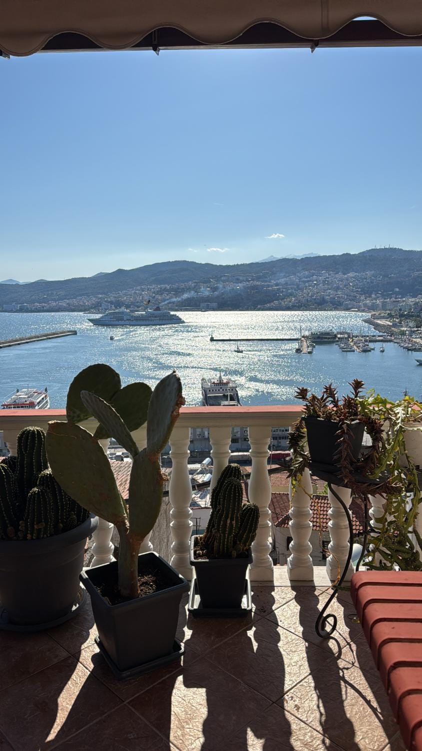 View (from property/room)