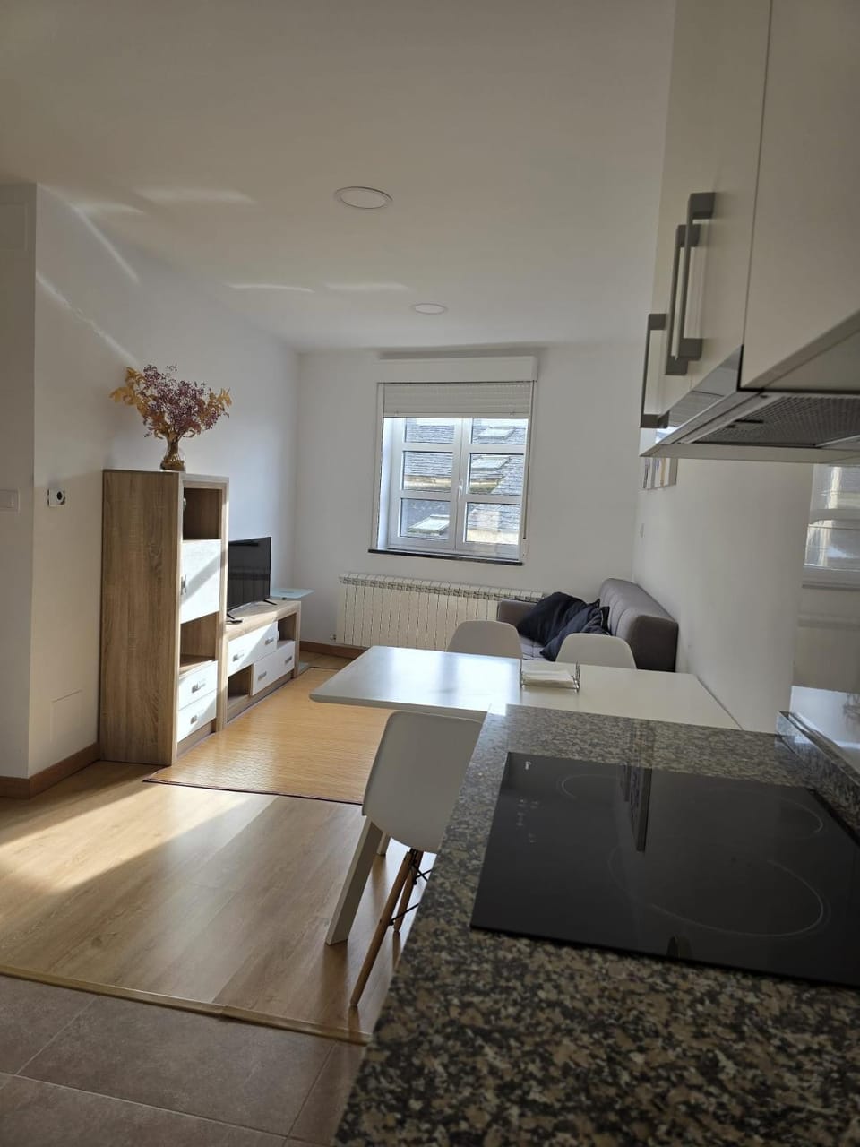 Kitchen or kitchenette, Living room, Dining area