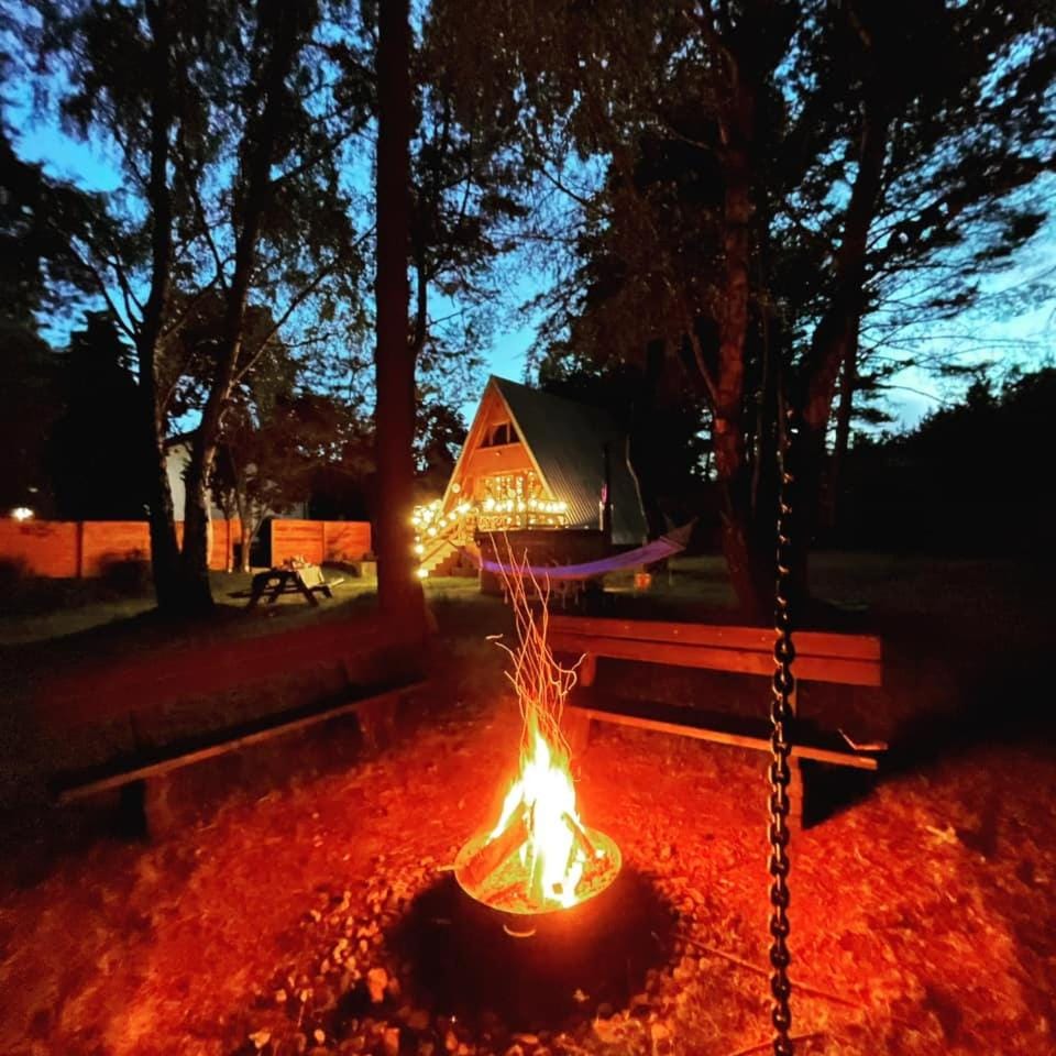 Night, Natural landscape, Garden, Garden, Garden view