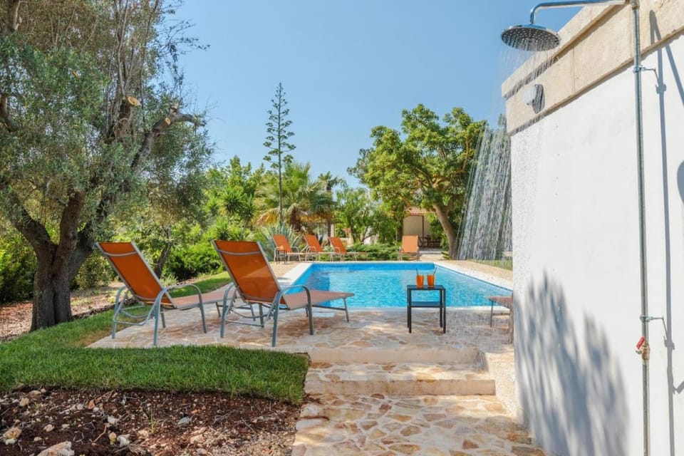 Patio, Spring, Day, Garden, Garden view, Pool view, Swimming pool, sunbed