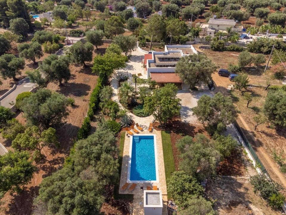 Day, Natural landscape, Bird's eye view, Pool view, Swimming pool