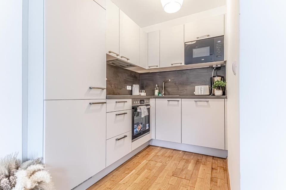 Kitchen or kitchenette, minibar, pet friendly, stove, kitchen
