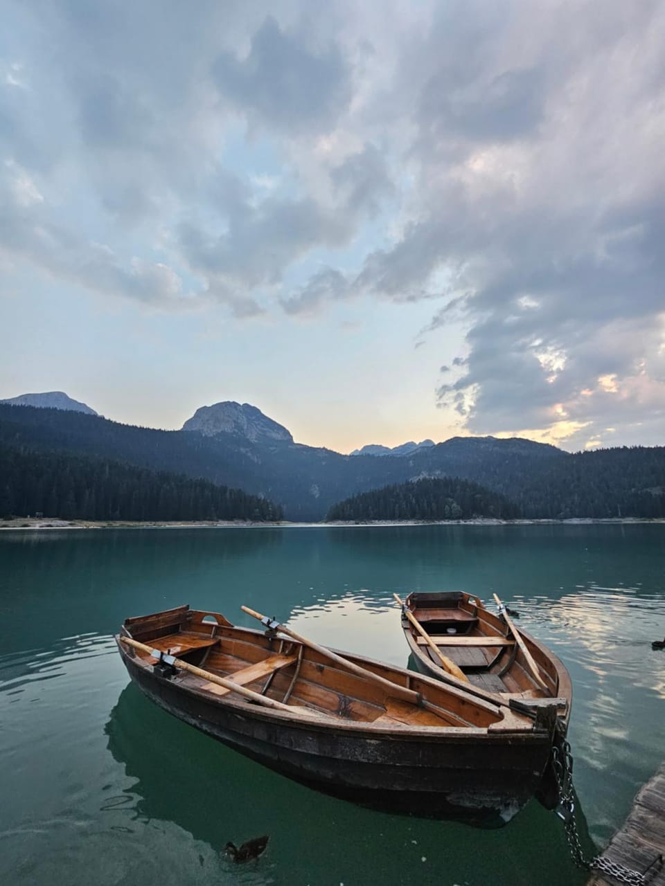 Premium Apartments Apartment hotel in Montenegro