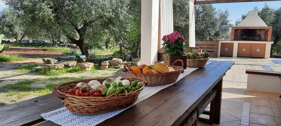 Patio, Spring, Food and drinks, Garden view