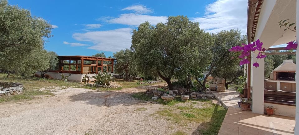 Property building, Spring, Natural landscape, Garden view