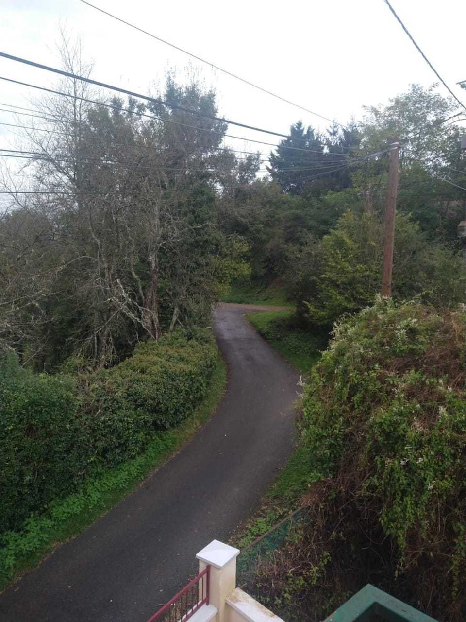 Natural landscape